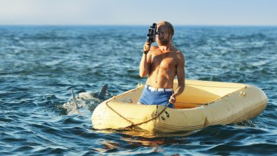 Photo of Фильмы, которые вызывают море эмоций